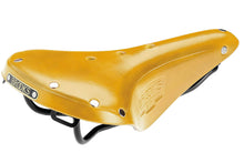 Cargar imagen en el visor de la galería, Ochre