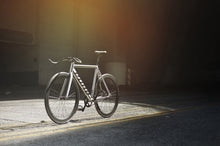Charger l'image dans la galerie, Keirin Track Frameset
